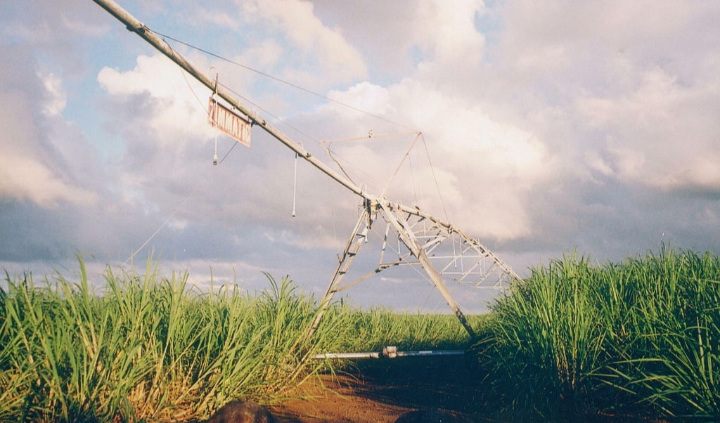 3,173 Sugarcane Farmers in Bihar to Get Equipment Subsidy