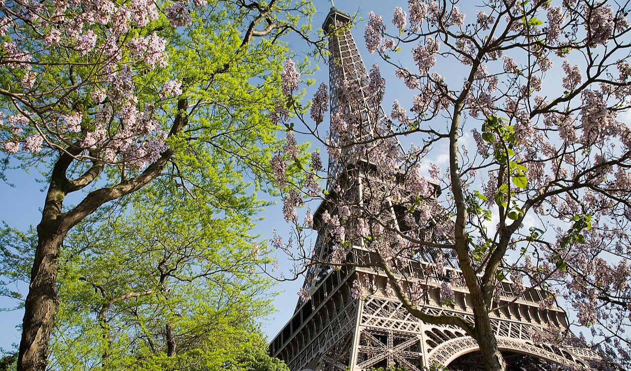 Eiffel Tower Shuts as Staff Protest Sidelining of Women