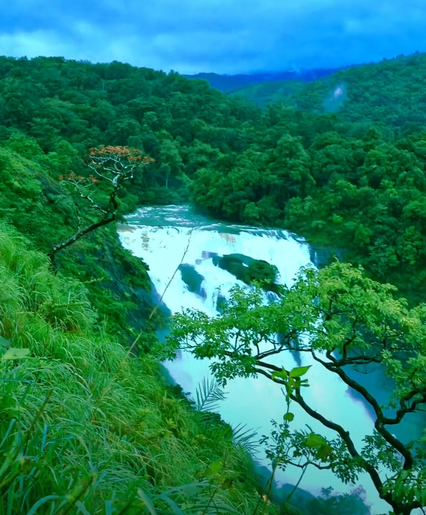 Coorg, Karnataka Coffee Estates, Waterfalls and Misty Ghats