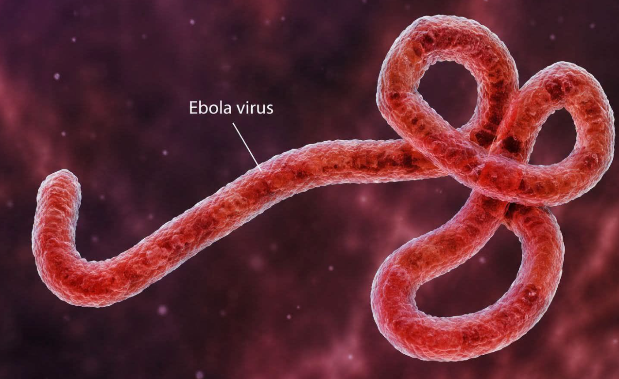 Kenya Strengthens Ebola Response After First Imported Case