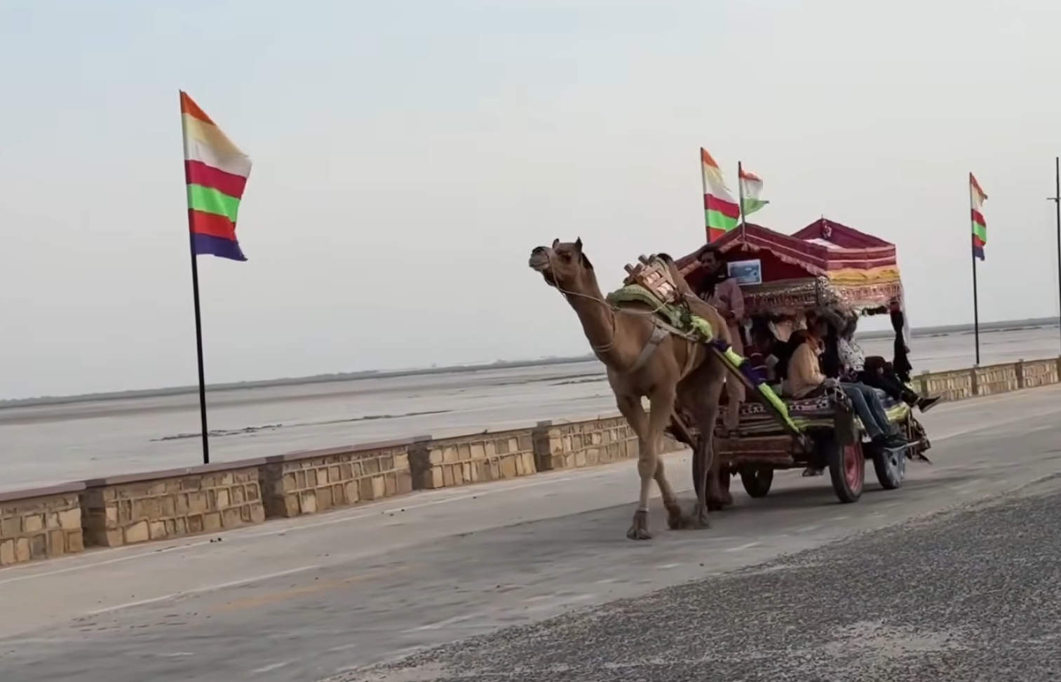 Rann of Kutch Guide to Gujarat's White Desert and Rann Utsav