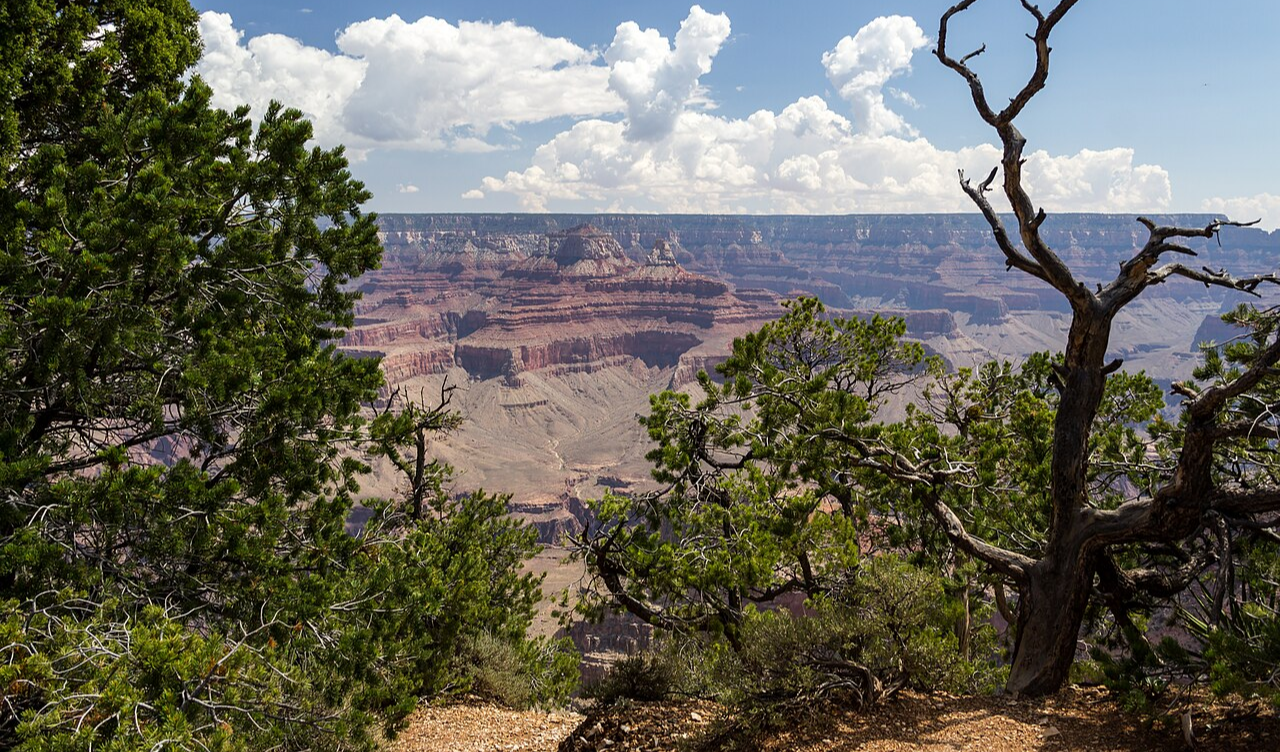 Grand Canyon A First-Timer's Guide to Rims and Viewpoints