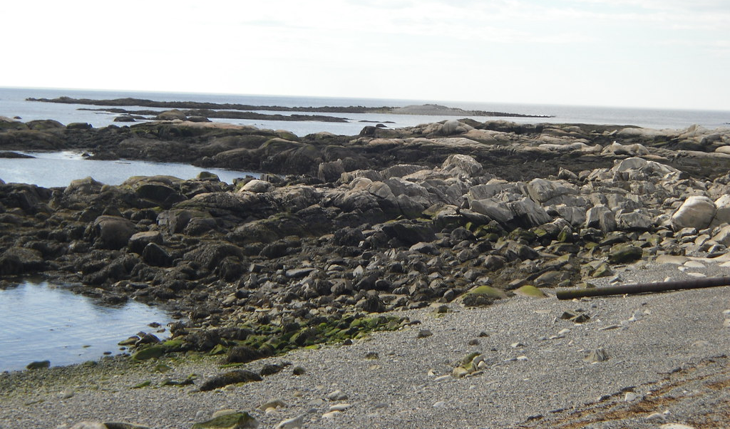 Maine students restore coastal dunes with 20,000 grass stalks