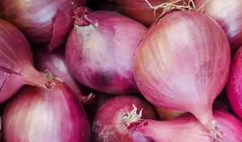Centre's Rs 35/kg Onion Sale Fails to Cool Retail Prices