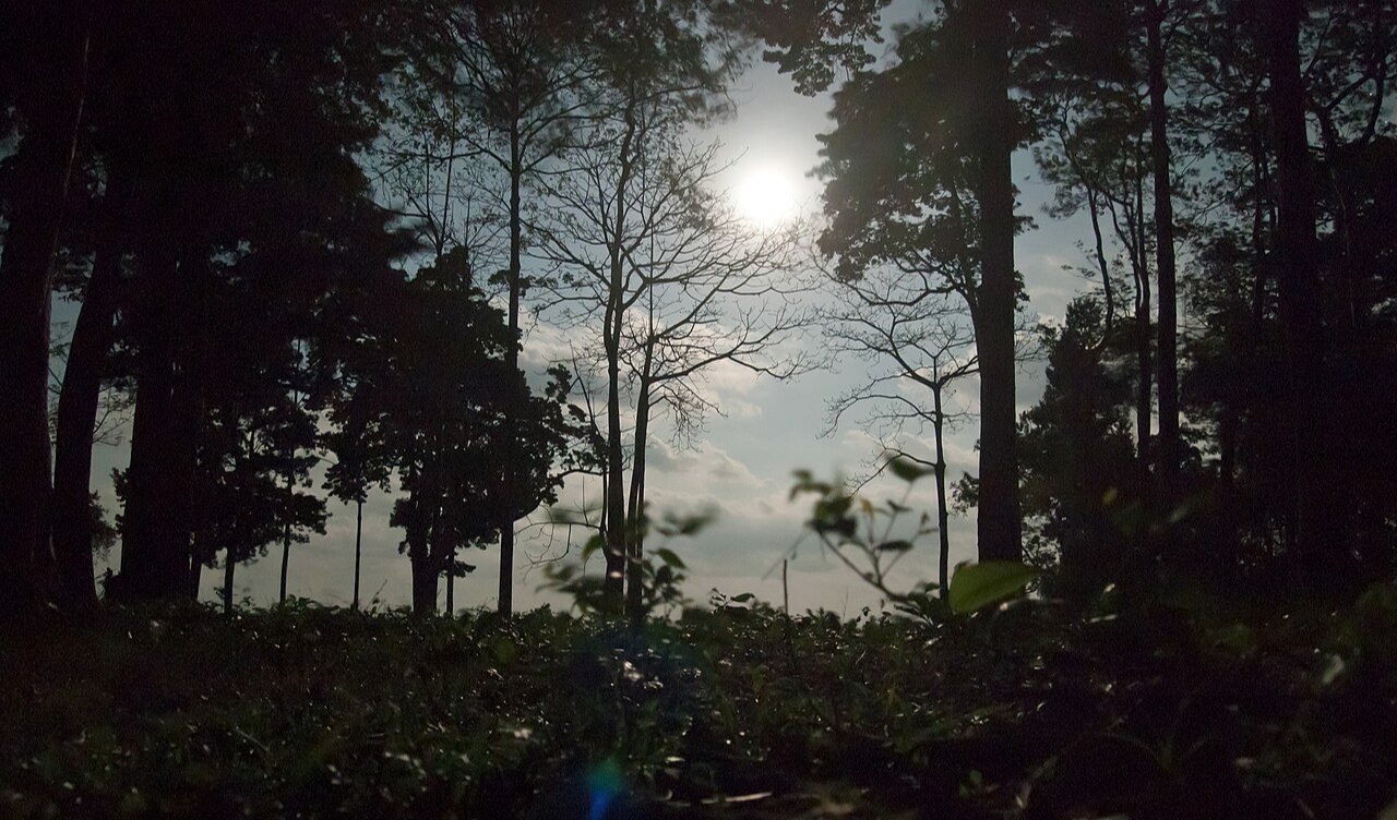 Full Moon and New Moon Energy ,Lunar Phases Shape Your Week