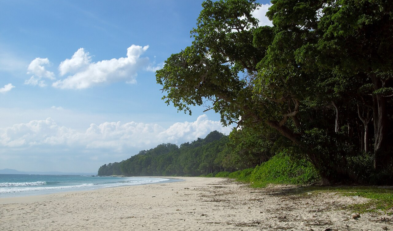 Havelock Island A Guide to Radhanagar Beach and Andaman Reefs