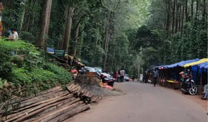 Araku Valley in October Weather, Greenery and Travel Tips