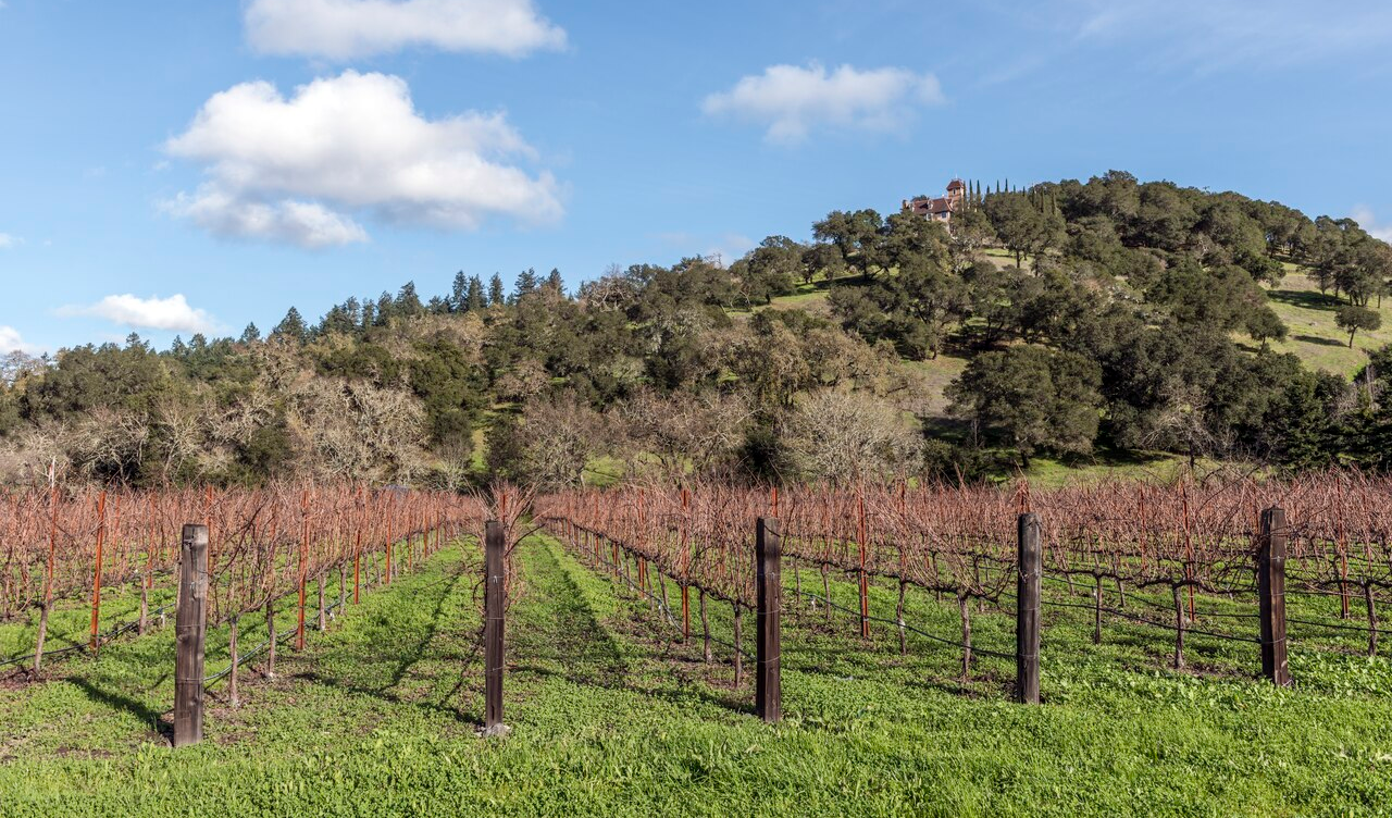 1887 Stone Winery Anchors $35M Napa Valley Estate Sale