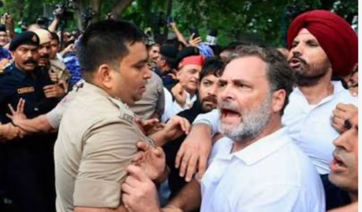 Rahul Gandhi Calls Deletion Of 727 Delhi Voters 'Vote Theft'